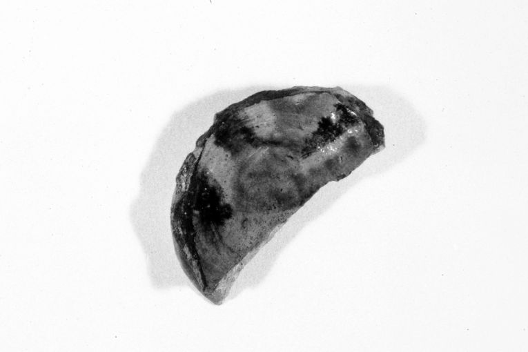 motivo decorativo geometrico (ciotola, frammento) - produzione apulo-lucana (sec. XIII)