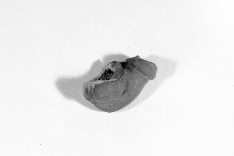 motivo decorativo (pipa, frammento) - produzione apulo-lucana (secc. XVIII/ XIX)