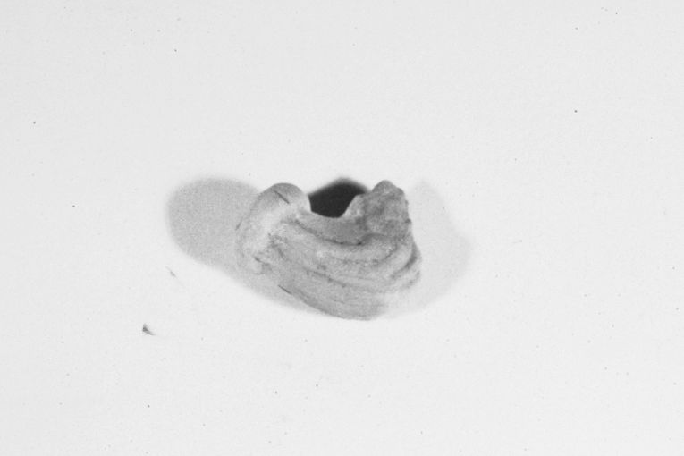 pipa, frammento - produzione apulo-lucana (secc. XVIII/ XIX)