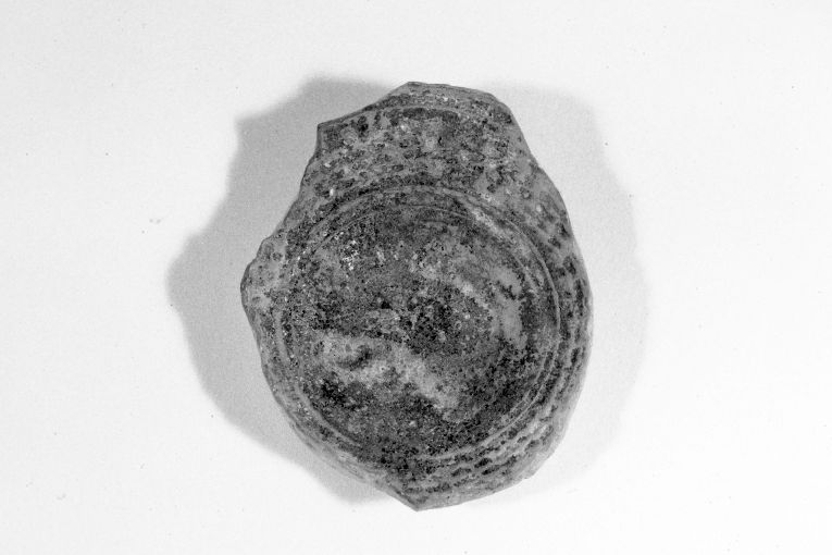 motivo decorativo geometrico (ciotola, frammento) - produzione apulo-lucana (seconda metà sec. XII)