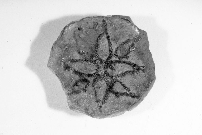 motivo decorativo fitomorfo (ciotola, frammento) - produzione apulo-lucana (sec. XIII)