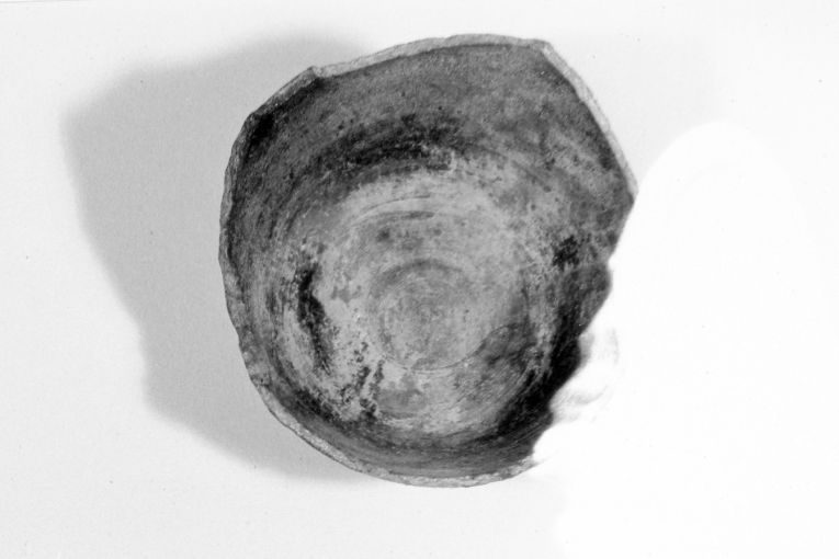 brocca, frammento - produzione apulo-lucana (seconda metà sec. XIII)