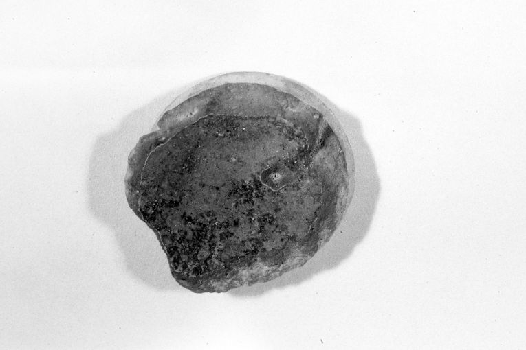 ciotola, frammento - produzione apulo-lucana (sec. XIII)