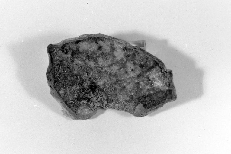 motivo decorativo fitomorfo (ciotola, frammento) - produzione apulo-lucana (sec. XIII)