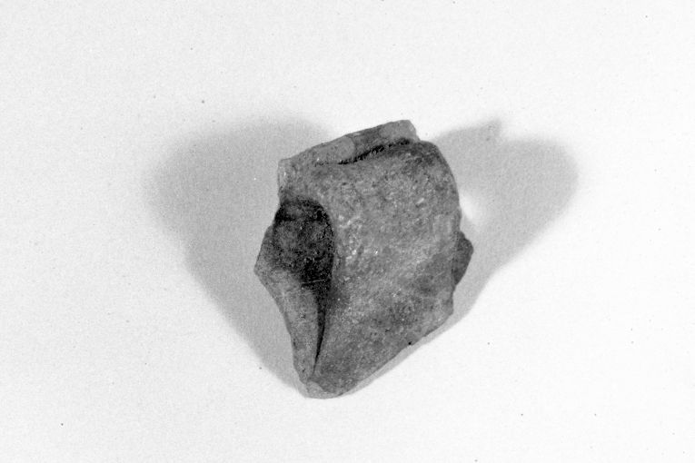 anfora, frammento - produzione apulo-lucana (fine sec. XIII)