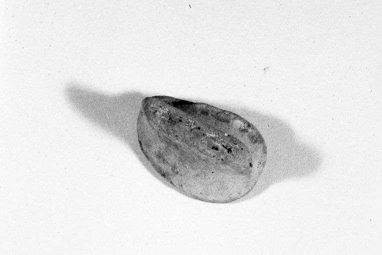 anfora, frammento - produzione apulo-lucana (sec. XIII)