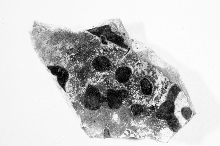 motivo decorativo geometrico (ciotola, frammento) - produzione apulo-lucana (seconda metà sec. XIII)