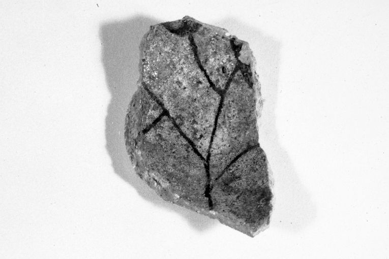 motivo decorativo fitomorfo (ciotola, frammento) - produzione apulo-lucana (metà sec. XIII)