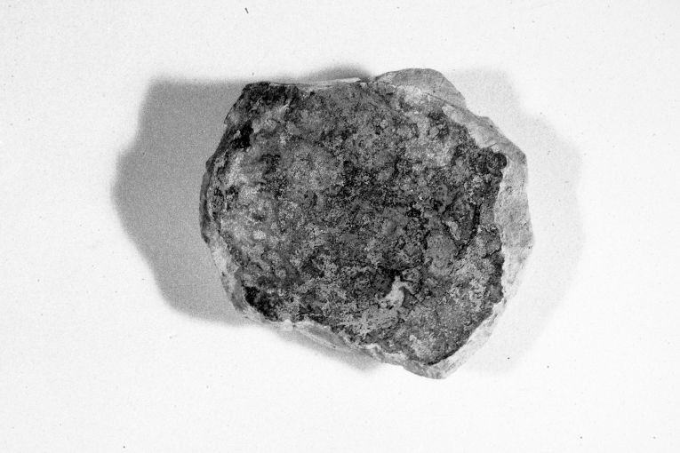 ciotola, frammento - produzione apulo-lucana (metà sec. XIII)