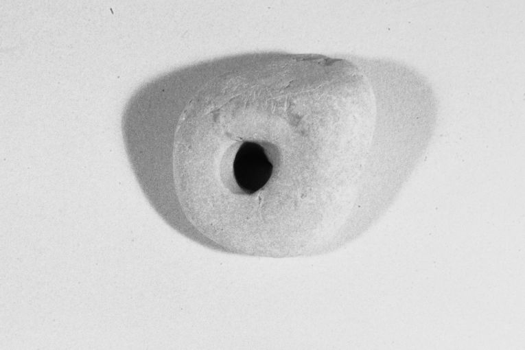 peso - produzione apulo-lucana (secc. XIII/ XIV)