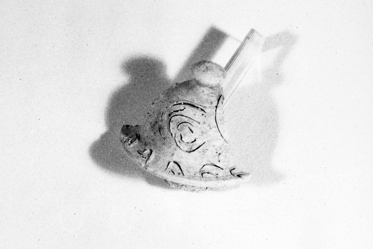 motivo decorativo fitomorfo (tappo, frammento) - produzione apulo-lucana (sec. XVI)