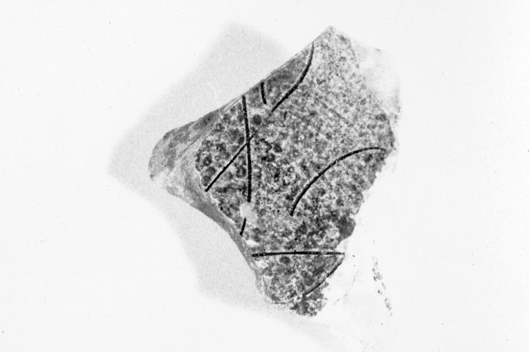 motivo decorativo geometrico (ciotola, frammento) - produzione apulo-lucana (seconda metà sec. XIII)