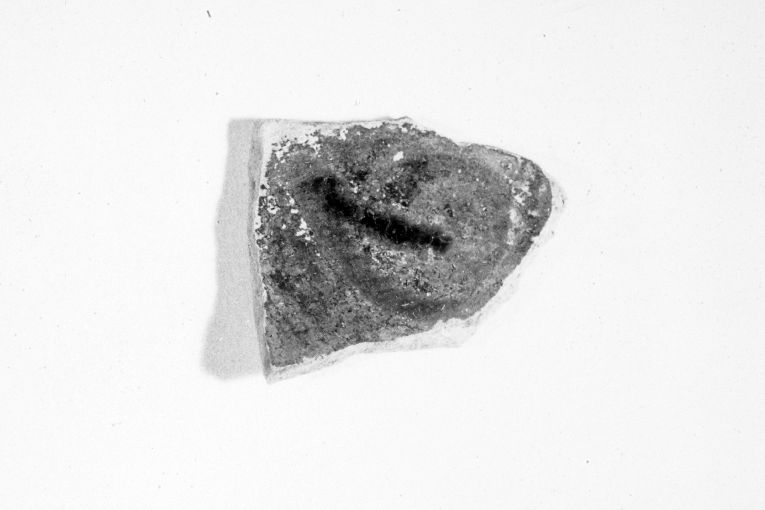 ciotola, frammento - produzione apulo-lucana (metà sec. XIII)