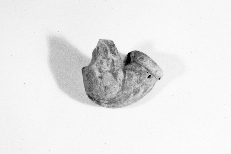 motivo decorativo zoomorfo (pipa, frammento) - produzione apulo-lucana (secc. XVIII/ XIX)