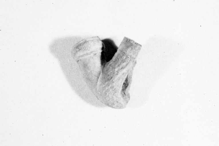 motivo decorativo geometrico (pipa, frammento) - produzione apulo-lucana (secc. XVIII/ XIX)