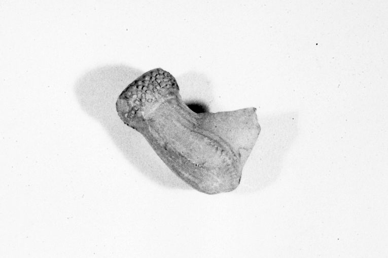 pipa, frammento - produzione apulo-lucana (secc. XVIII/ XIX)