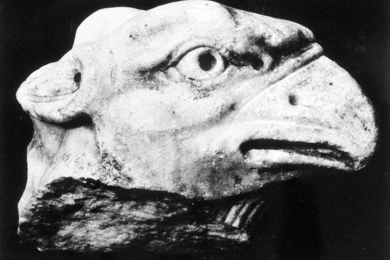 Testa di aquila (scultura, frammento) - ambito pugliese (sec. XII)