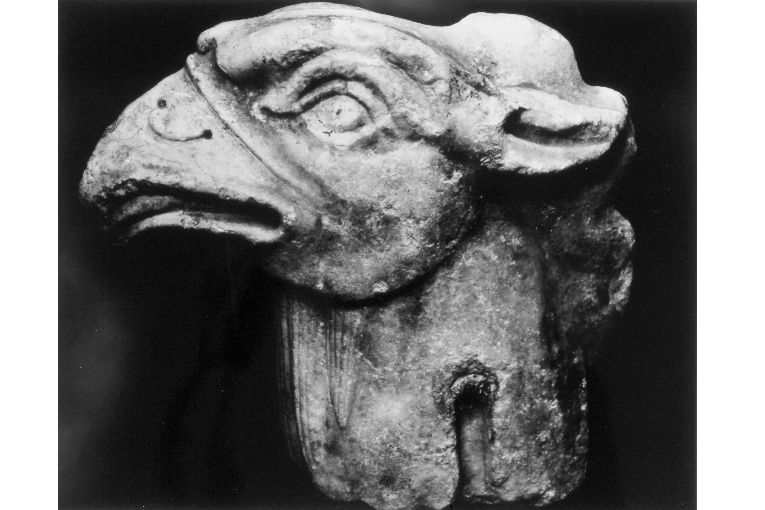 Testa di aquila (scultura, frammento) - ambito pugliese (sec. XII)