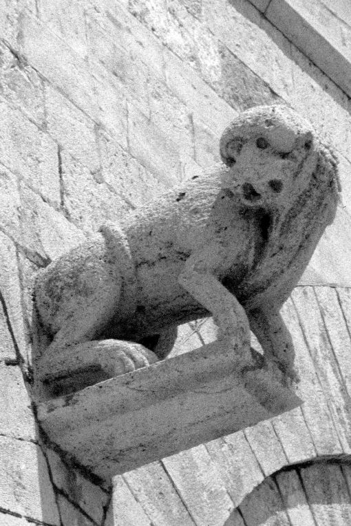 Leone (mensola) - bottega sveva (secondo quarto sec. XIII)