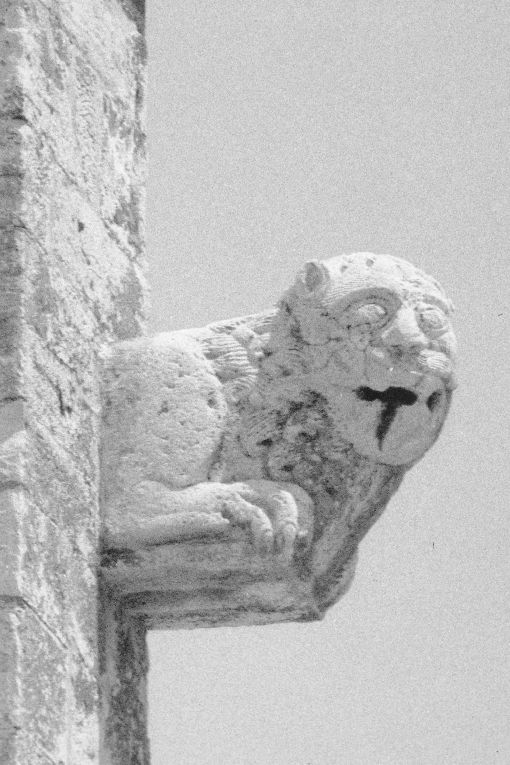 Leone (mensola) - bottega sveva (secondo quarto sec. XIII)