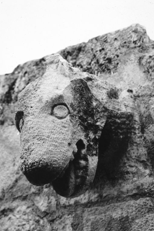 Cane (mensola) - ambito pugliese (fine sec. XII)