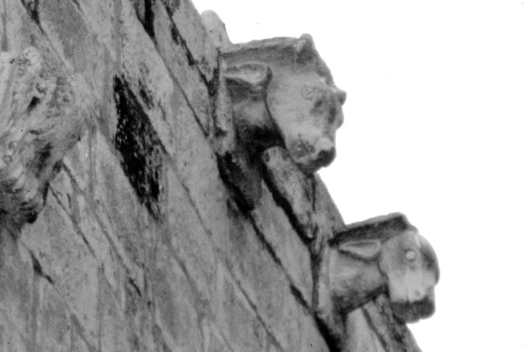 Bue (mensola) - ambito pugliese (fine sec. XII)