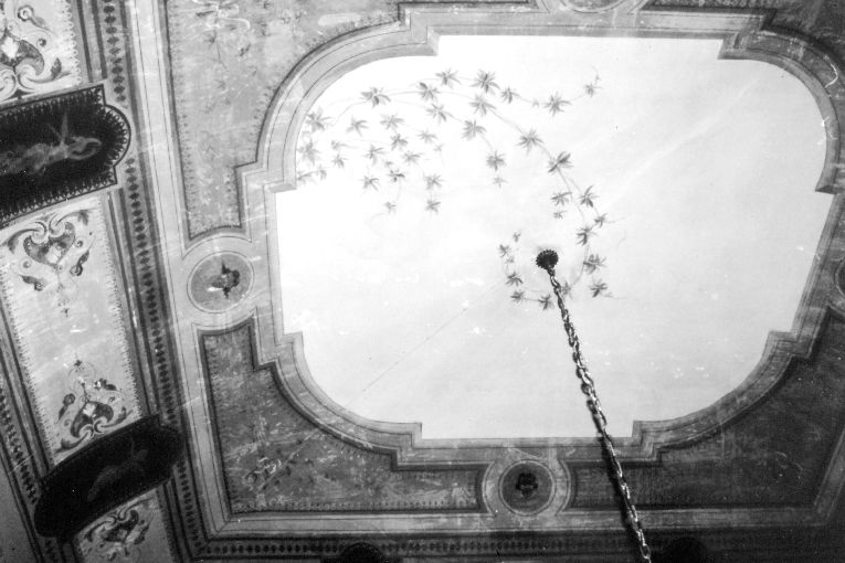 Elementi vegetali (dipinto) - ambito pugliese (sec. XIX)