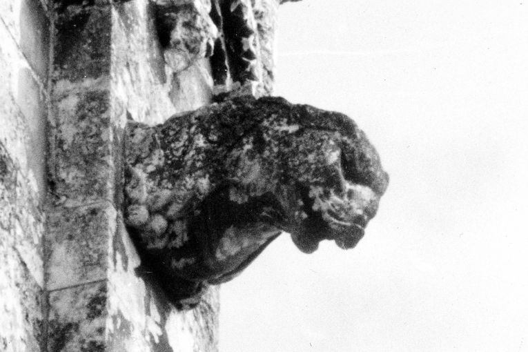 animale fantastico (protome) - produzione pugliese (sec. XV)