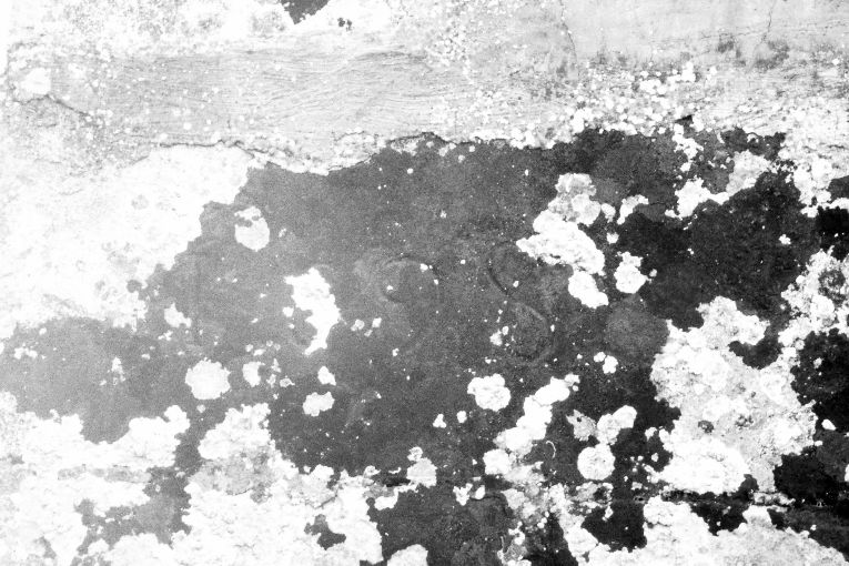 concio - ambito salentino (sec. XVI)