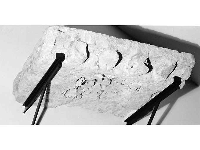 cornicione, frammento - ambito Italia meridionale (prima metà sec. XVI)