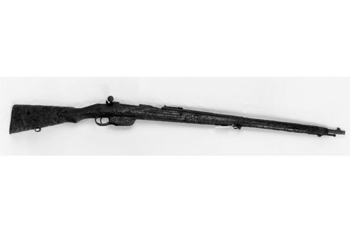 fucile - ambito austro-ungarico (sec. XIX)