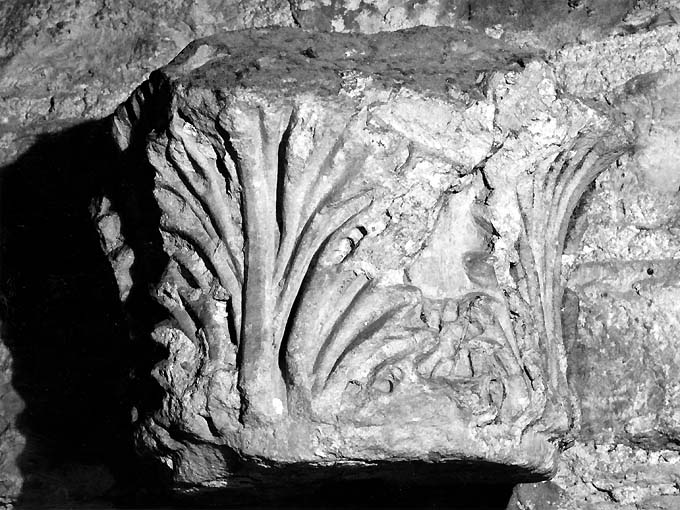 motivi decorativi a foglie d'acanto (capitello) - ambito bizantino (sec. VI)