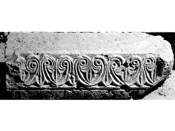 motivi decorativi vegetali a palmette (architrave, frammento) - ambito pugliese (sec. XI)