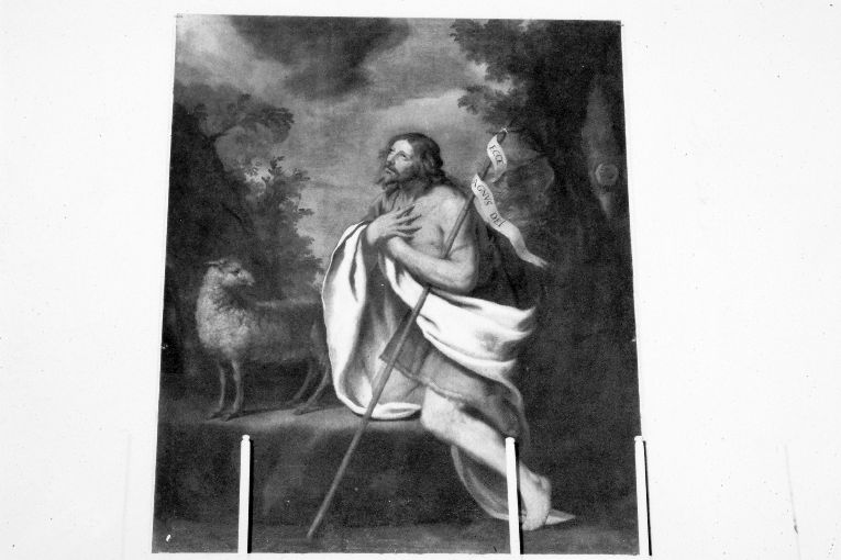 San Giovanni Battista (dipinto) di Fracanzano Cesare (sec. XVII)