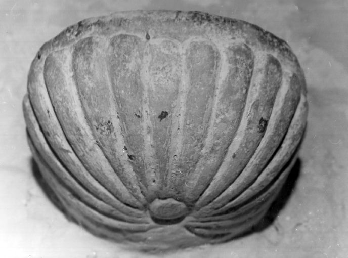 acquasantiera da parete - ambito Italia meridionale (sec. XVI)