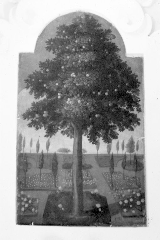 Albero, giardino (dipinto) - ambito pugliese (seconda metà sec. XVIII)