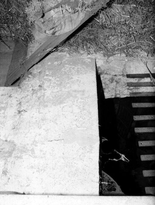 lapide - ambito pugliese (sec. XVIII)