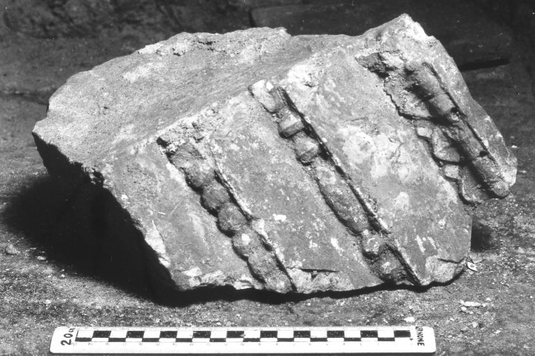 rilievo, frammento - ambito pugliese (sec. XVI)