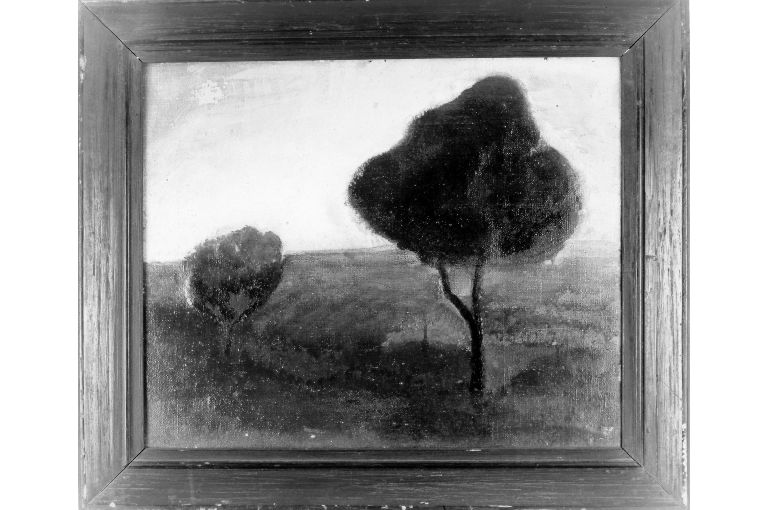 Alberi di pino (dipinto) di De Vitis Temistocle (sec. XX)