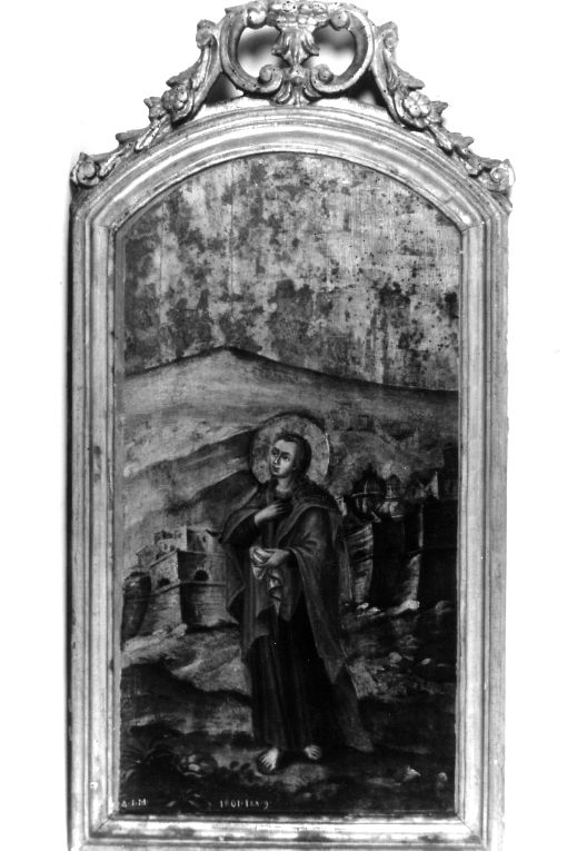 San Giovanni evangelista (dipinto) di Bogdano Demetrio (sec. XIX)