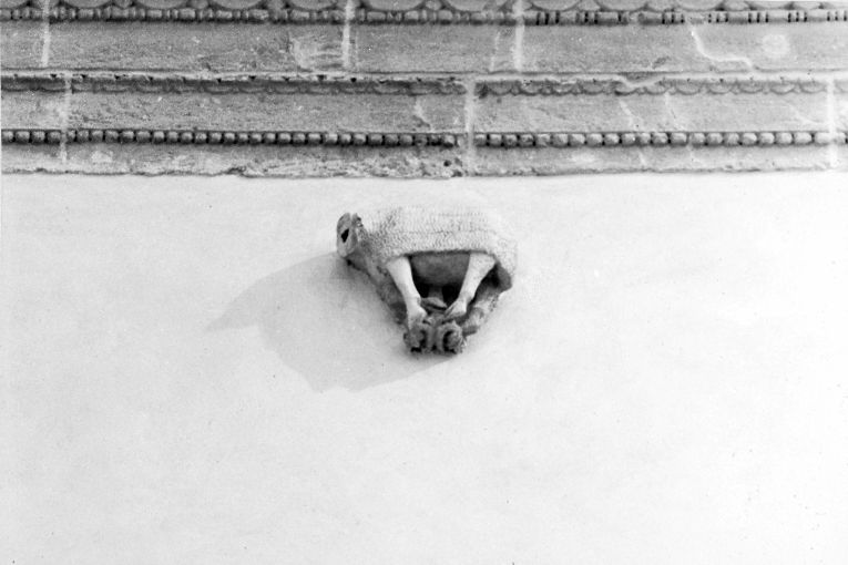 Agnus Dei (statua, opera isolata) - ambito salentino (sec. XVI)