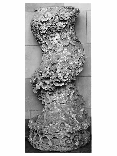 semicolonna, frammento - ambito salentino (prima metà sec. XVIII)