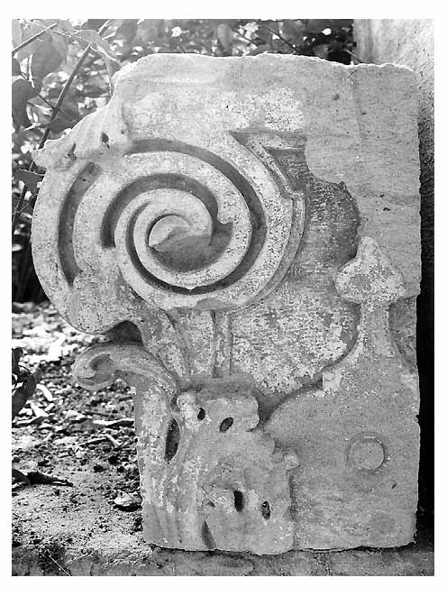 motivi decorativi a volute (rilievo, frammento) - ambito salentino (secc. XVII/ XVIII)