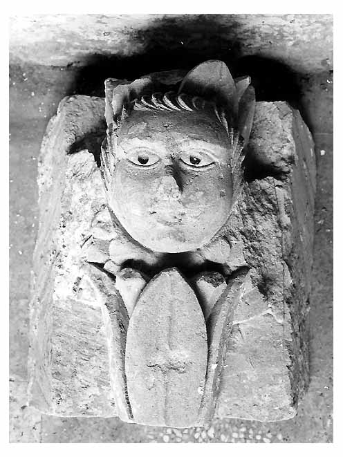 cherubino (scultura, frammento) - ambito salentino (secc. XVII/ XVIII)