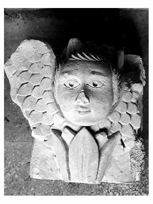 cherubino (scultura, frammento) - ambito salentino (secc. XVII/ XVIII)