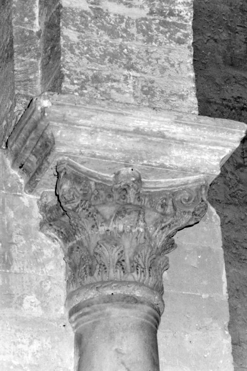 capitello - ambito greco-asiatico (metà sec. V)