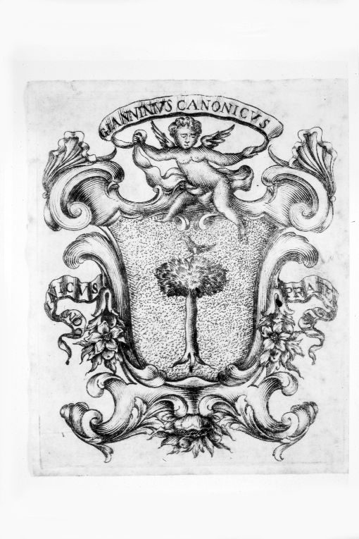Arme gentilizia Giannini (stampa smarginata) - ambito toscano (sec. XVIII)