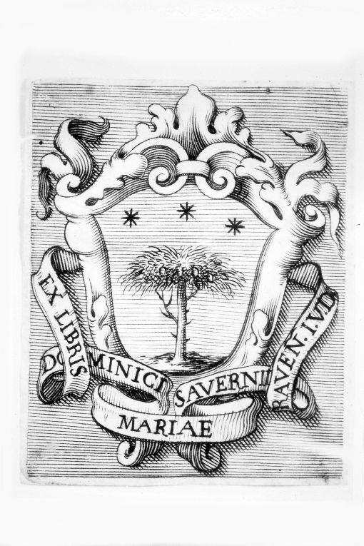 Arme gentilizia Saverni (stampa smarginata) - ambito emiliano (sec. XVIII)