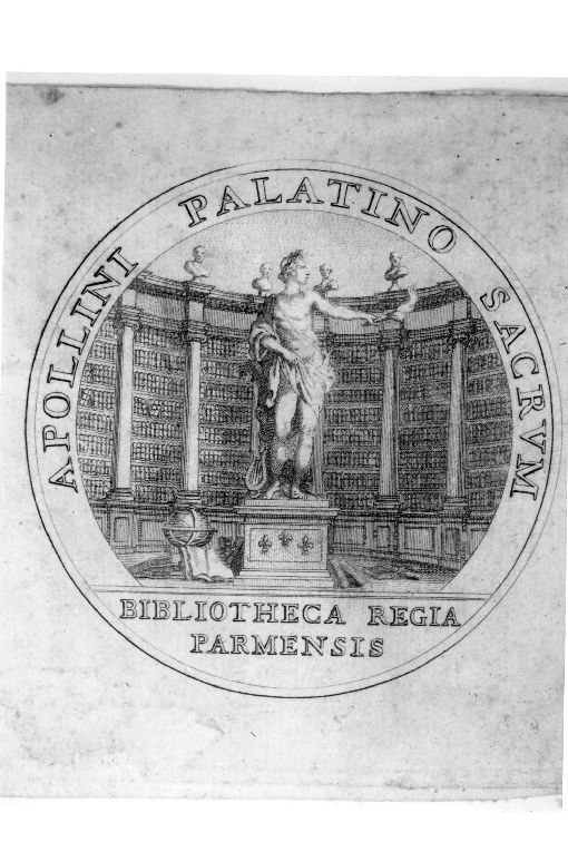Scaffale della Biblioteca Regia di Parma con statua diApollo (stampa smarginata) - ambito emiliano (sec. XVIII)