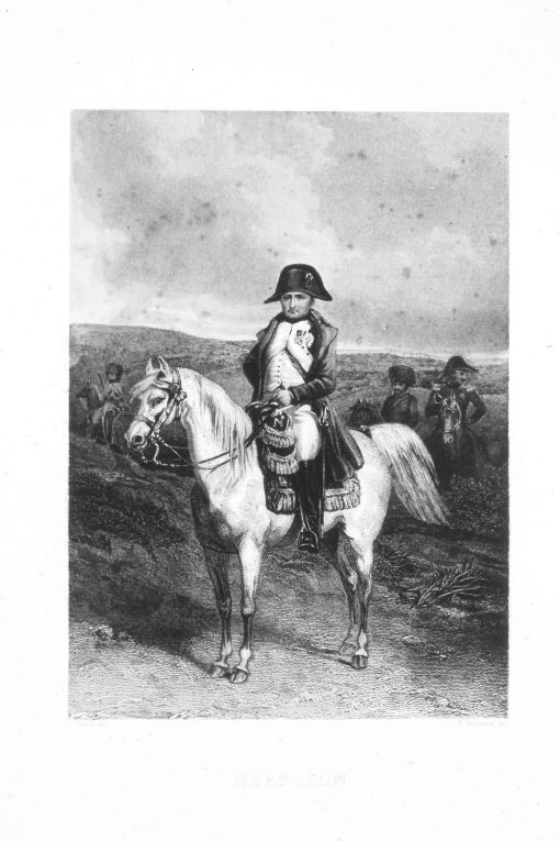 Ritratto di Napoleone Bonaparte a cavallo (stampa smarginata) di Robinson John Henry, David L (secc. XVIII/ XIX)